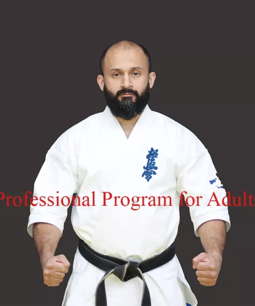 Professional Program for Adults - Sensi Omar